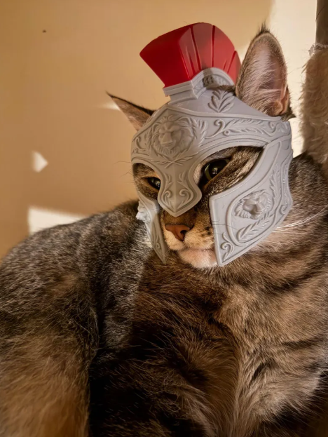 Roman Gladiator Helmet