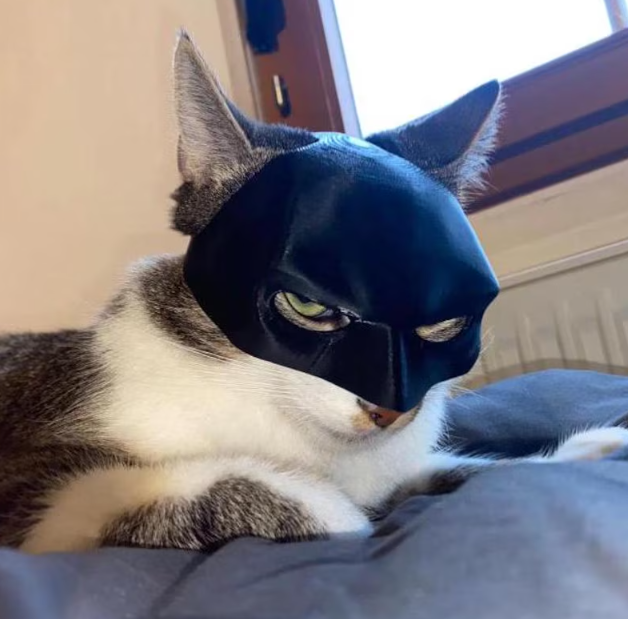 Catman Mask