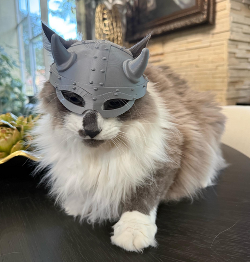 Viking Helmet